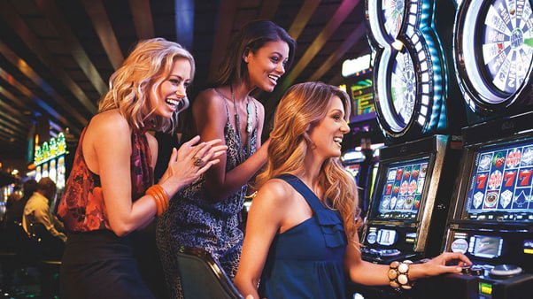 333bet login